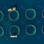 an aerial view of fish farm on the water