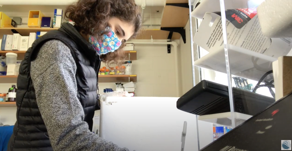 Nicole working on accessioning Dr. Detrich’s samples of Antarctic fish. (From youtube video)