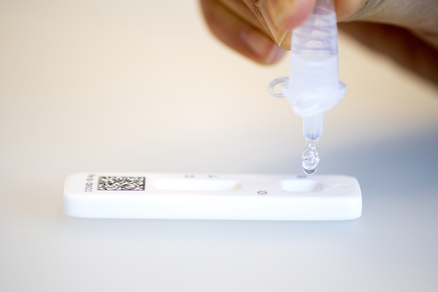 a drop of solution goes into an at-home COVID test