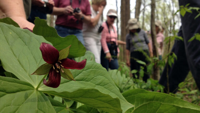 What are crowdsourced photos taken along hiking trails telling us about the climate?