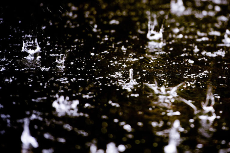 Global rainwater is now contaminated with ‘forever chemicals.’ What can we do about it?
