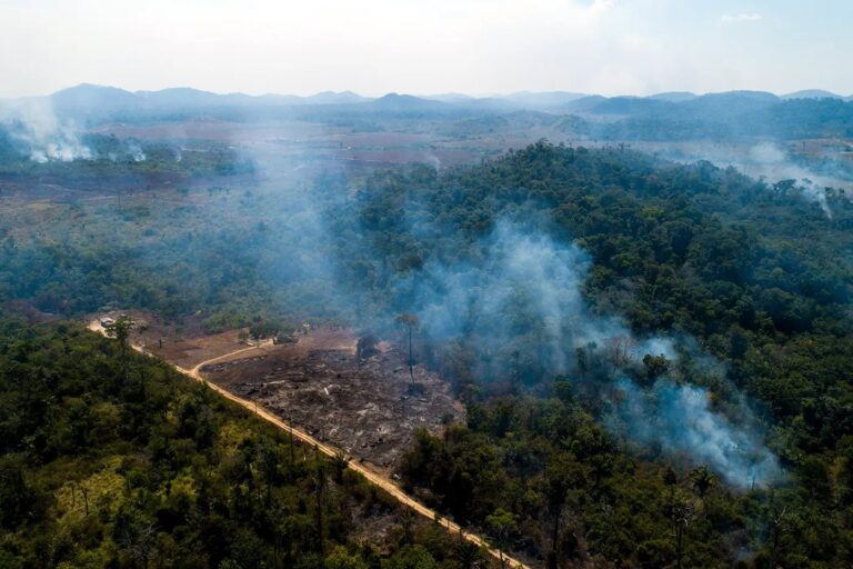 What the death of a lone Indigenous man in Brazil can tell us about our global future