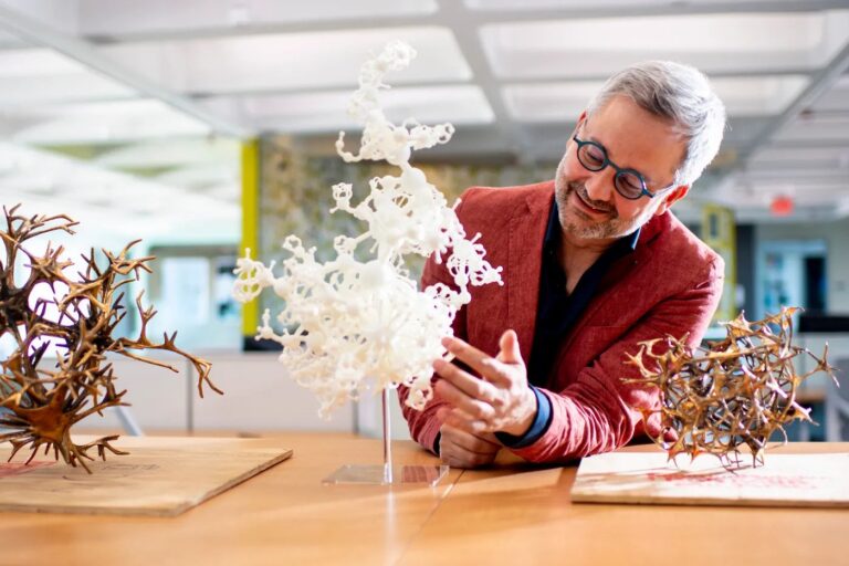 Northeastern’s Barabási receives prestigious prize from the American Physical Society
