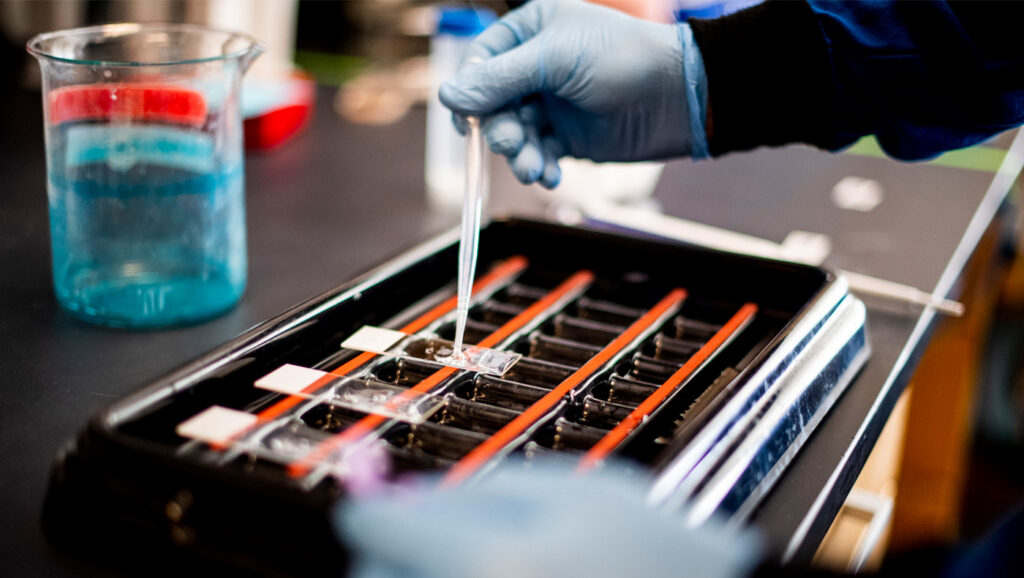 Sciences taking samples in a lab