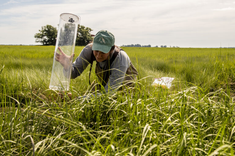 Building a more Environmentally Conscious Community