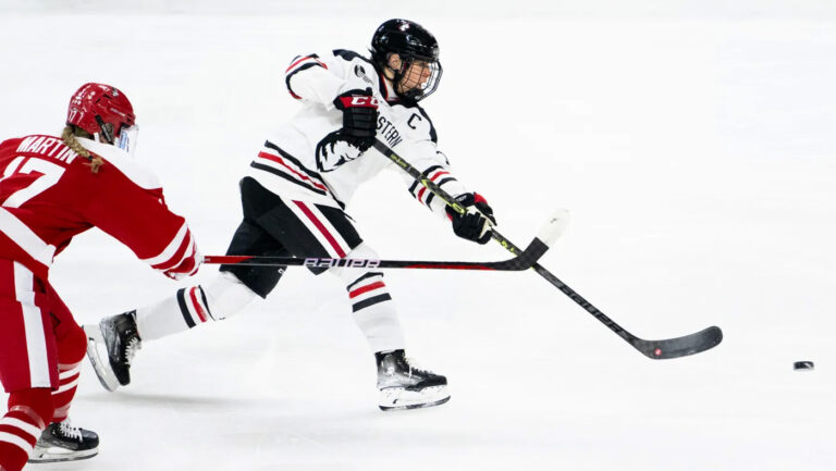Hockey physics: What are the forces responsible for a good slap shot? Naturally, we asked a physicist