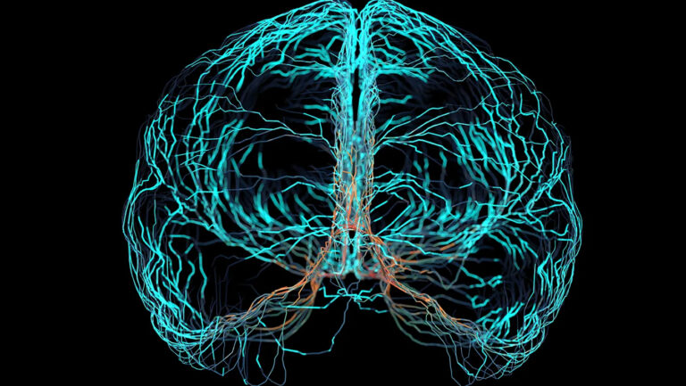 Women more likely to perceive thoughts separate from the brain