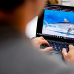 Evan Prasky doing shark research on his laptop