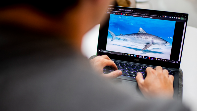 Evan Prasky Debunks the Jaws-ome Myths: Separating Fact from Fiction on Shark Week