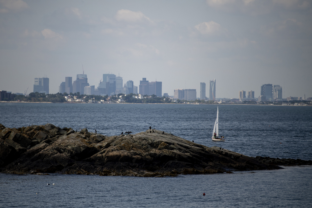 A sailboat is on the water in front of the Boston skyline.
