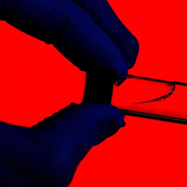 A gloved hand holds a vial of blood.