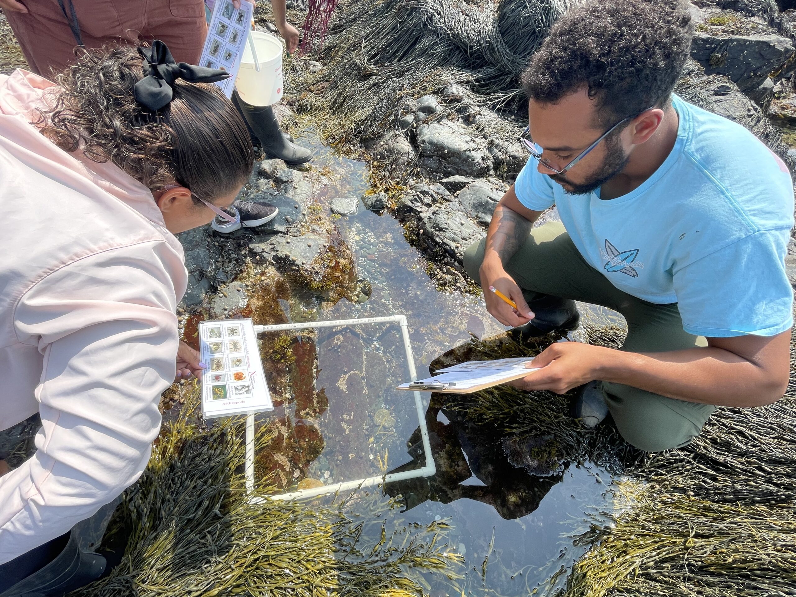 Students investigating a tide pool.