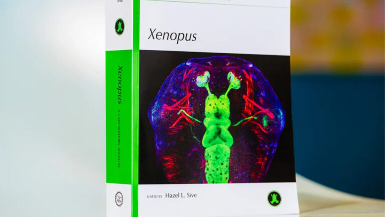 Dean Hazel Sive edits volume detailing African frog research and best practices that informed her ‘life’s work’