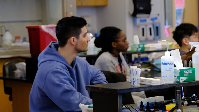 From Undergraduate Lab to Publication: George Hatzis’ Biology Project Success
