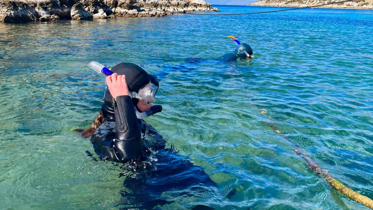 Northeastern student researches dolphin behavior for a Greek marine conservation nonprofit during Mediterranean  Sea co-op