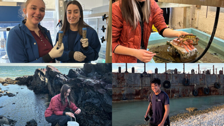 Predatory Crabs, Morphing Oysters, and Ocean Electrolysis: MES Undergrads lauded with PEAK awards to support their research
