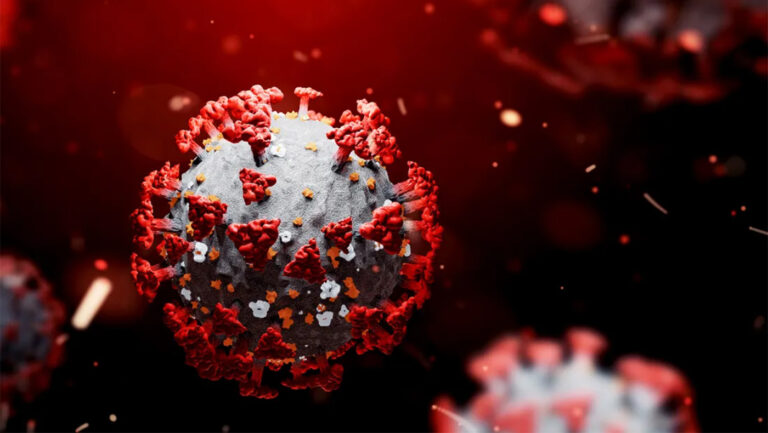 New insight into antibody shows how it could offer sweeping protection against evolving SARS-CoV-2 virus
