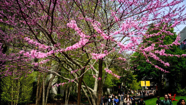 Meet the 2024 Advancing Women in Science Scholars