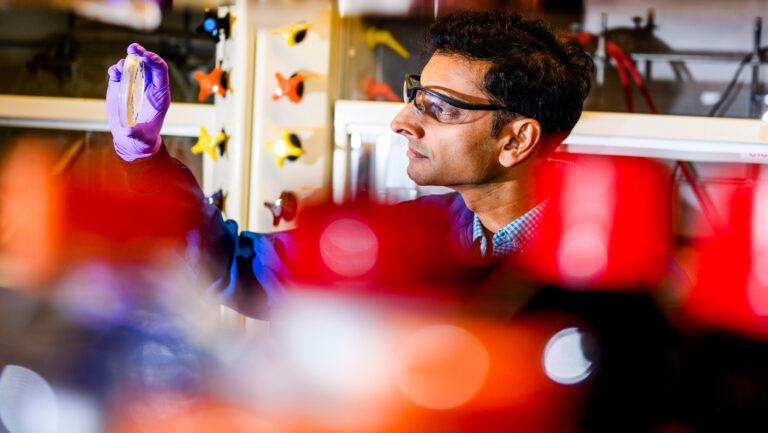 Want to build like biology? These researchers are bridging proteins between bacteria