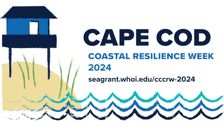 Northeastern co-op blends marine biology and studio art to promote Cape Cod Coastal Resilience Week