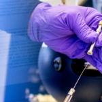 Close up picture of a hand in a purple glove. The hand is holding a narrow metal instrument.