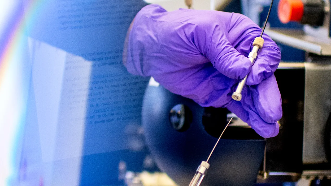 Close up picture of a hand in a purple glove. The hand is holding a narrow metal instrument.