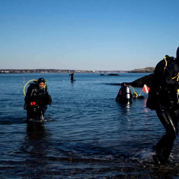 Photo of a scuba diver getting out of the Ocean. The diver is wearing a wet suit and carrying a red and white flag. Behind him there are other divers exiting the water.
