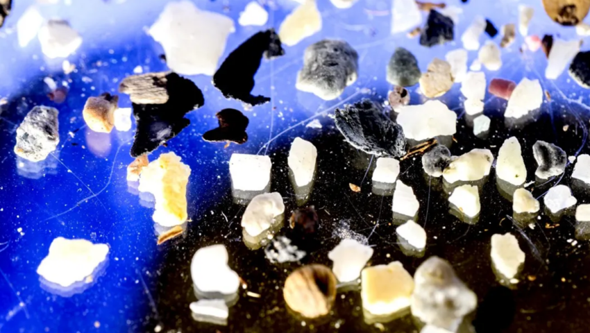 Close up picture of small pieces of plastic on a blue and black background.