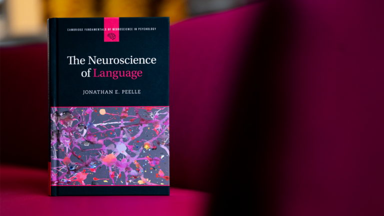 Right turn and right answer, how does the brain differentiate? Northeastern professor explains in new book