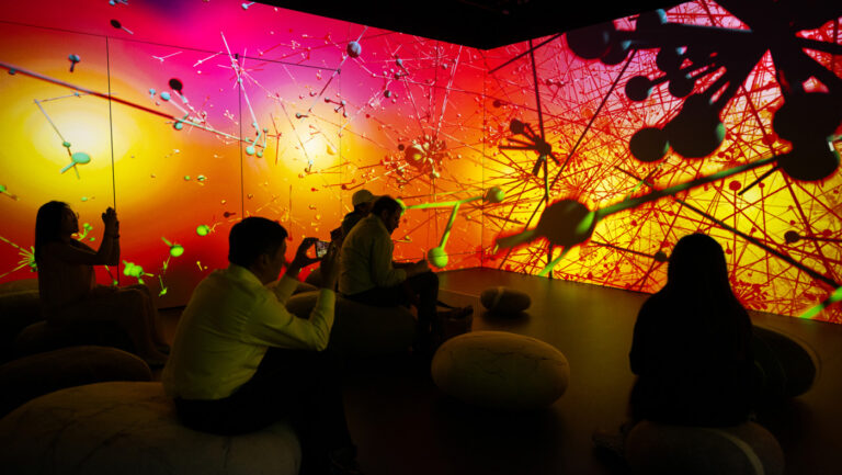 A Northeastern immersive art project visualizes how COVID misinformation spread on social media