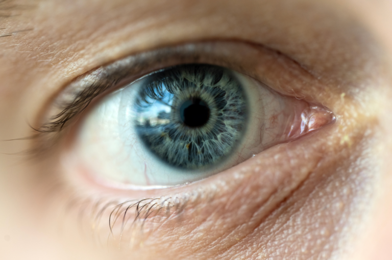 Millions of people have macular degeneration. Could this training model help restore their sight?