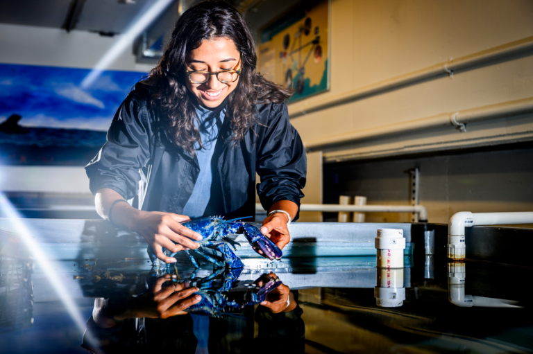 Meet Neptune, the rare blue lobster donated to Northeastern’s Marine Science Center in Nahant