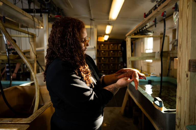 Starfish are dying from a mysterious disease. She hunts for answers