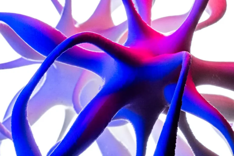 How string theory helped solve a mystery of the brain’s architecture