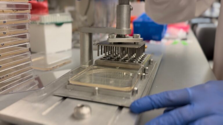 How Co-op Research Led Matthew Uy to His First Scientific Publication
