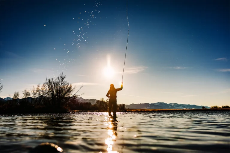 Nature report links wildlife trends to human well-being