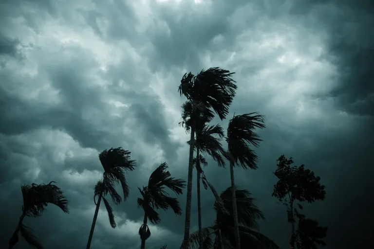 Northeastern researcher explains why climate models and observational data disagree