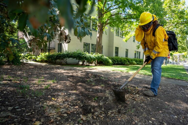 Rising high schoolers study wildfires in Oakland amid historic dry season