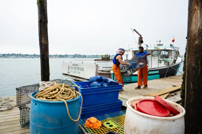 Northeastern researchers want to help keep New England seafood from going to China and back